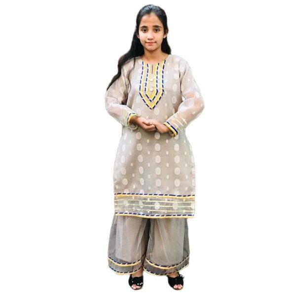 naira sharara dress