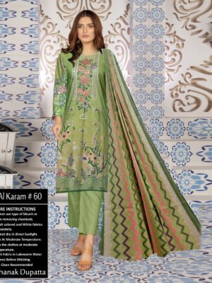 Bullet Shell Color Dhanak Suit