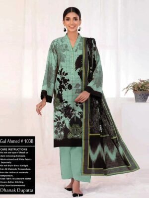 Green Shade Color Dhanak Suit