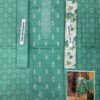 Light Sea Green Color Dhanak Suit-1