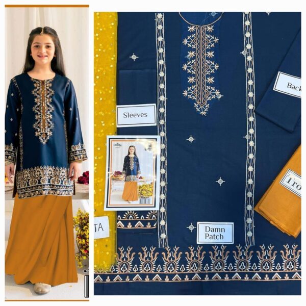 Blue Zodiac Children Pakistani Party Dresses