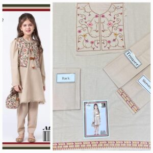French Grey Girls Shalwar Kameez Pakistani For Party