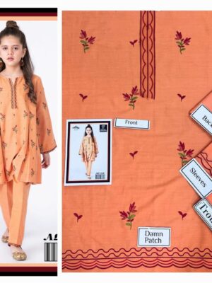 Salmon Pakistani Kids Clothing