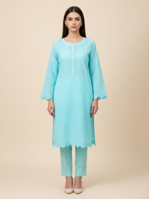 Light Blue Wholesale Chikankari Co Ord Set