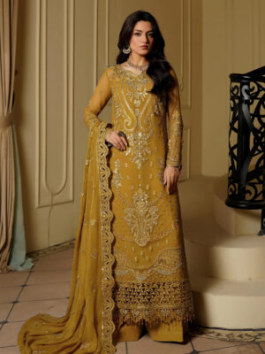 Light Brown Pakistani Chiffon Suit Wholesale