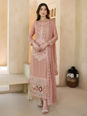 Light Taupe Pakistani Chiffon Suit Wholesale