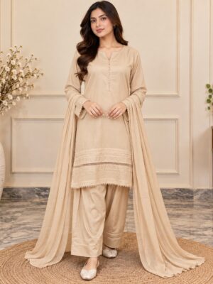 Begie Pakistani Wholesale Dhanak Suit