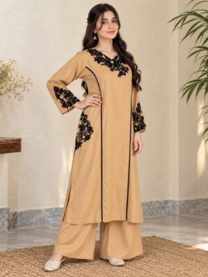 Beige wholesale pakistani dhanak suit