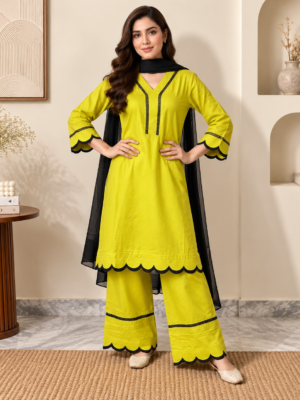 Mint Green Pakistani Dhanak Suit Wholesale