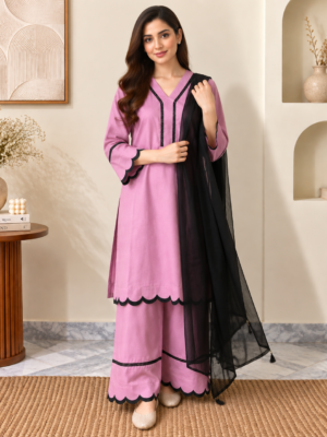 Pink Wholesale Pakistani Dhanak Suit
