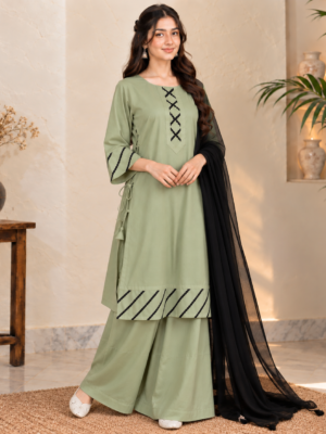 Saga Green Pakistani Wholesale Dhanak Suit