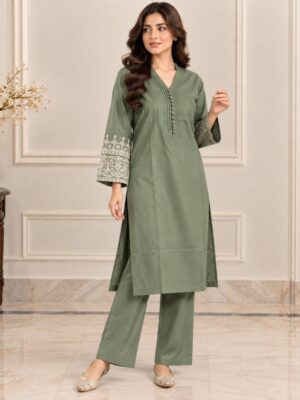 Saga Green Wholesale Dhanak Suit