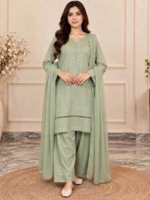 Saga Green Wholesale Dhanak Suit