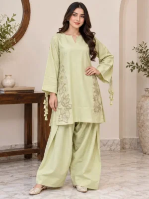 saga-green-pakistani-wholesale-dhanak-suit