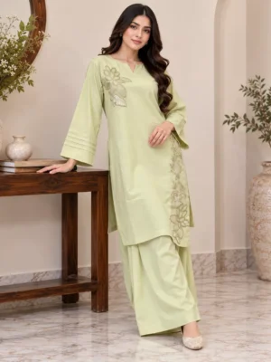 saga-green-wholesale-dhanak-suit