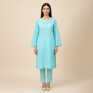 Light blue Wholesale chikanakri Co ord set
